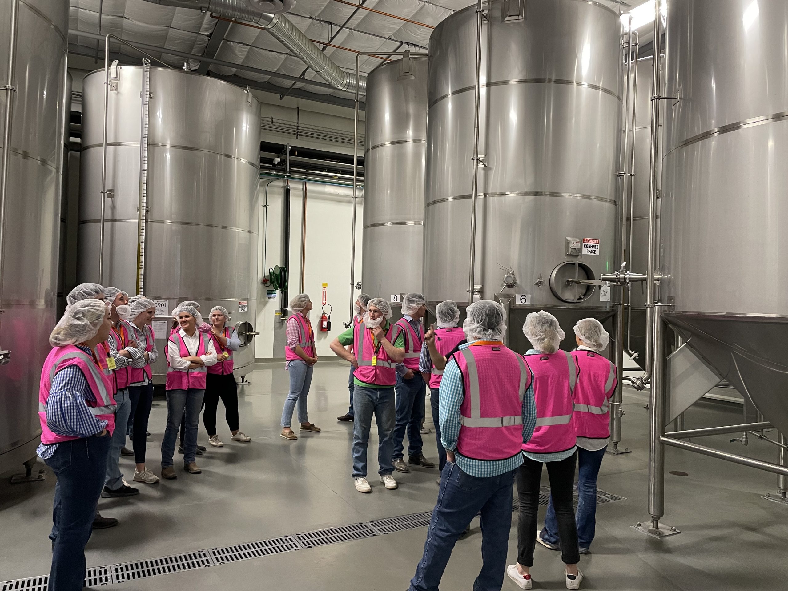 Agribusiness students visit Boundary Bend Olive Oil factory