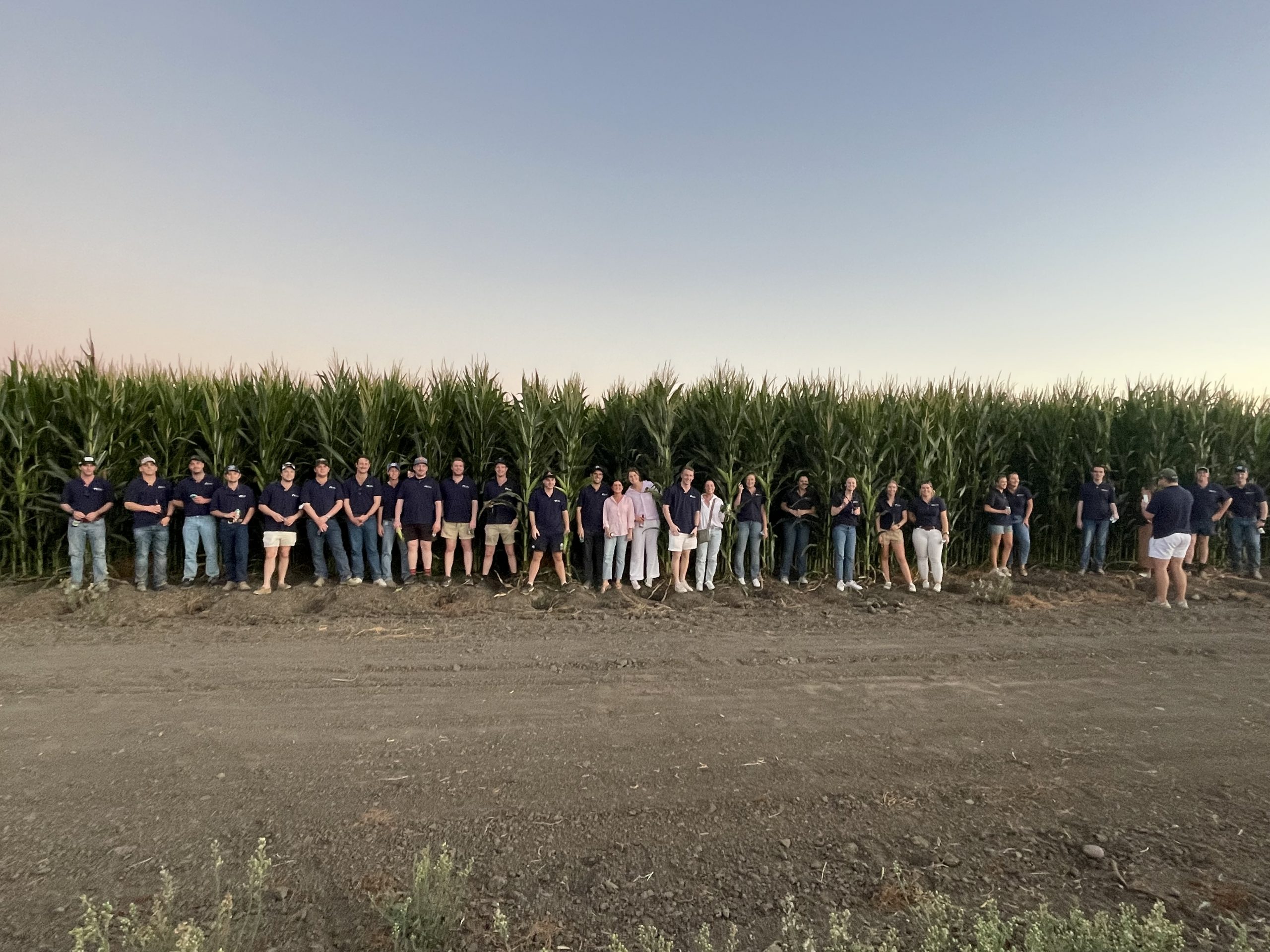 Agribusiness Students standing next to corn crop